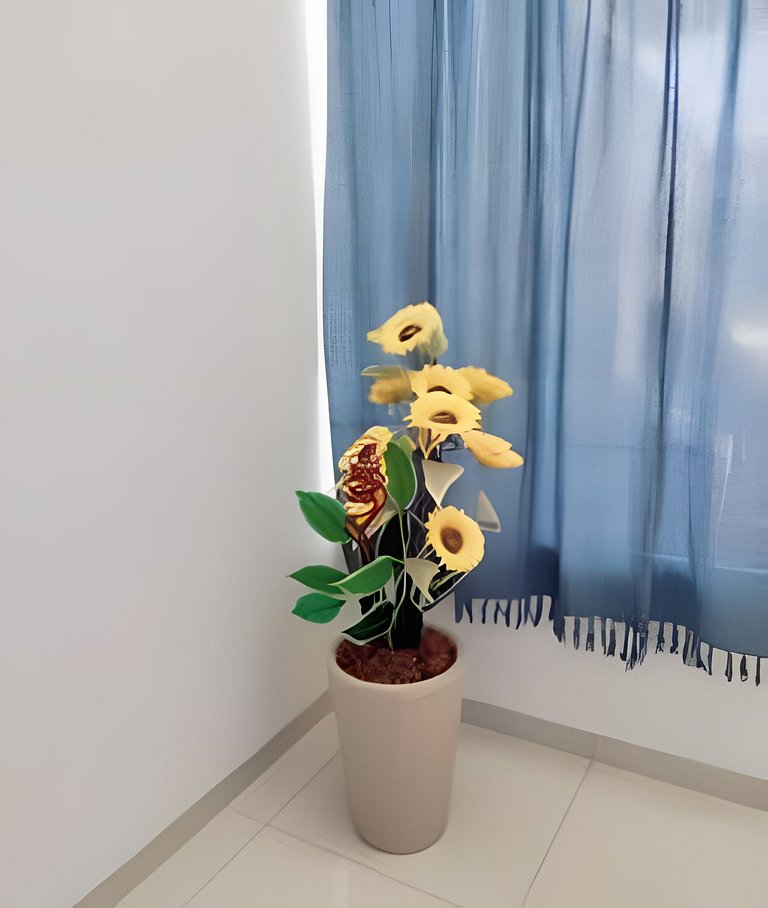 Casa no centro hoteleiro de Andradina, 250 mega